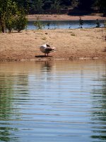 IMG_20250501_161051.jpg