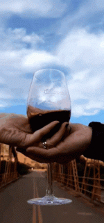 brindis-salud.gif