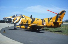 Beja Tiger Meet 1996 (36 of 46)_edit_821643124996499.jpg
