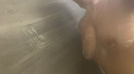 IMG_9569.jpeg