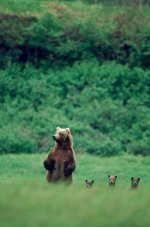 gettyimages-158994976-612x612.jpg