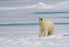 gettyimages-83807571-612x612.jpg