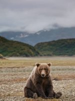 gettyimages-114154108-612x612.jpg