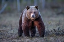 gettyimages-1783651652-612x612.jpg