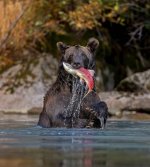 gettyimages-2174740813-612x612.jpg