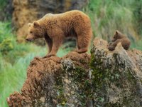 gettyimages-2156331138-612x612.jpg