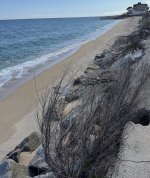 IMG_2867.jpeg