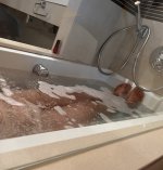 IMG_7314.jpeg
