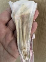 IMG_1722.jpeg