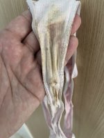 IMG_1723.jpeg