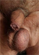 Imagen67.jpg