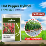 hph-5531-2-500x500.png