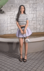 V02.gif