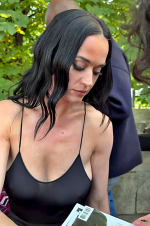 Katy Perry 3.png
