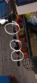 IMG_20250517_173340.jpg