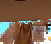 IMG_20250427_132422.jpg