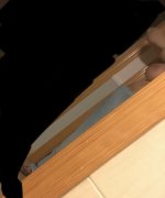 IMG_5361.jpeg