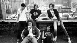 The_Strokes__110.png