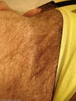 41342816_028_38e9.jpg