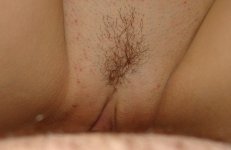 46680 (80270).JPG