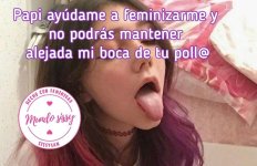 4F8.jpg