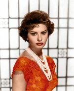 2020-05-27 00.10.16 2318015616992044887_sophialoren.jpg