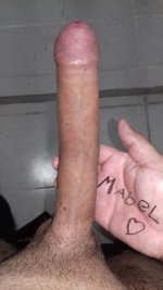 pic_155_big.jpg