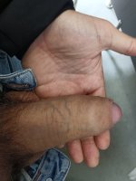 IMG_20240317_110703.jpg