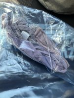 IMG_1250.jpeg