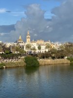 IMG_9784.jpeg