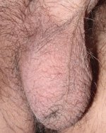 11.JPG