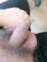 IMG_20230412_142559.jpg