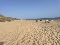 IMG_5024.jpeg