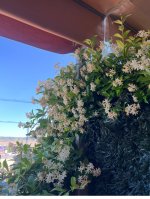 IMG_0779.jpeg