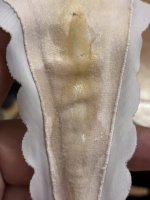 IMG_0299.jpeg