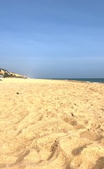 IMG_0981.jpeg