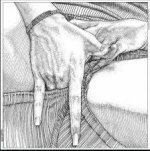 IMG_0936.jpeg