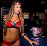 Divas De La Wwe.jpeg