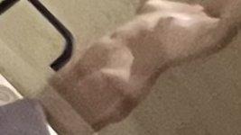 IMG_2062.jpeg