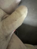 IMG_4111.jpeg