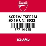 77710021B.jpg