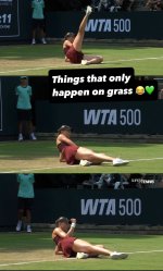 IMG_3619.jpeg