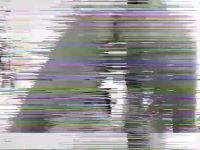 1750286335822.png