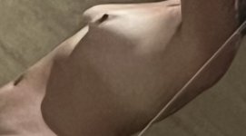IMG_2061.jpeg