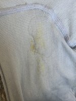 IMG_0493.jpeg