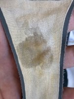 IMG_0496.jpeg