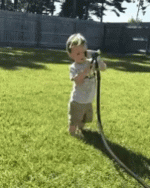 education-overwhelmed.gif