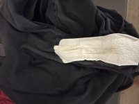 IMG_4239.jpeg