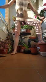 20250330_083328.jpg