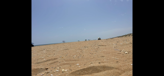 IMG_5870.png